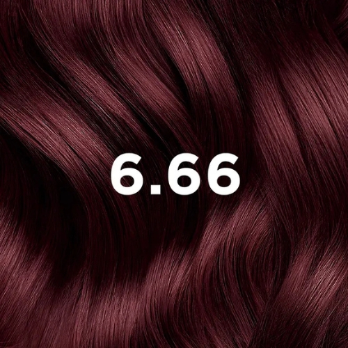 Phyto Hair Dye Farba do włosów - intensywny wiśniowo-czerwony brąz (kolor 6.66 Intense Cherry Red Brown) 1 szt